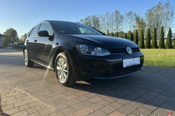 Volkswagen Golf VII (2012-)