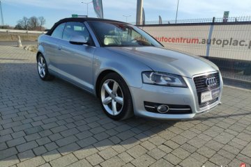 Audi A3 8P (2003-2012)