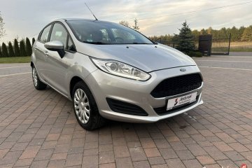 Ford Fiesta Mk7 (2008-)